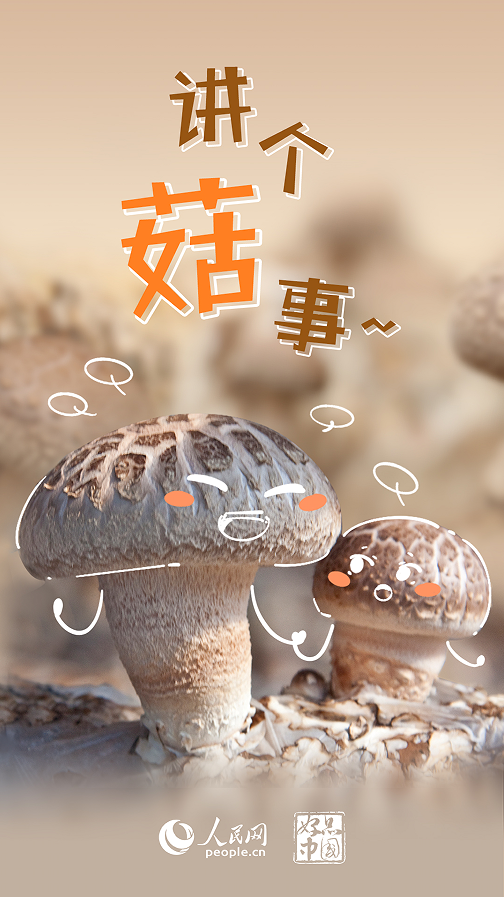 万事官方：好品中国｜超级“蘑”力 不可“菇”量